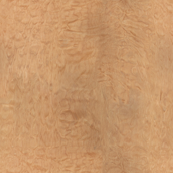 mtex_20248, Holz, Furnier, Architektur, CAD, Textur, Tiles, kostenlos, free, Wood, Atlas Holz AG