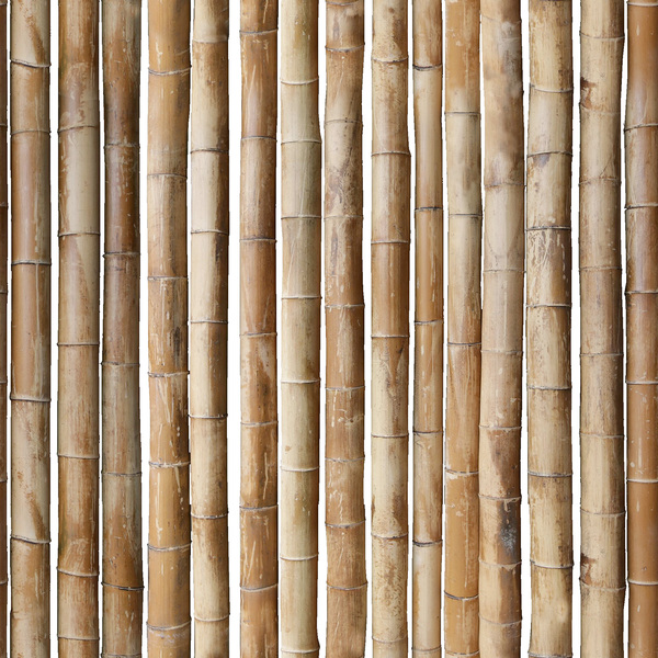mtex_14803, Bambù , Bamboo, Architettura, CAD, Texture, Piastrelle, gratuito, free, Bamboo, xyz mtextur