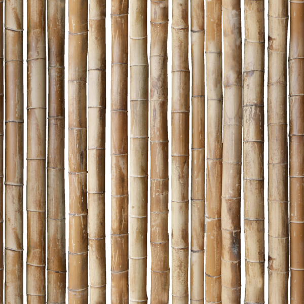 mtex_14804, Bambus, Bambus, Architektur, CAD, Textur, Tiles, kostenlos, free, Bamboo, xyz mtextur