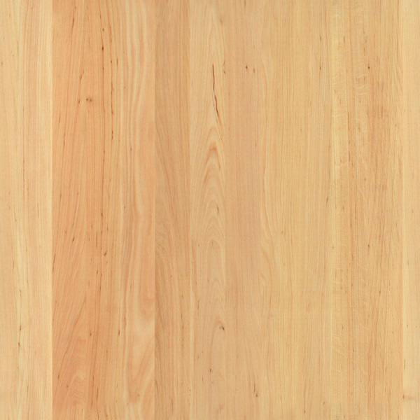 mtex_19428, Wood, 1-layer Panels, Architektur, CAD, Textur, Tiles, kostenlos, free, Wood, Atlas Holz AG