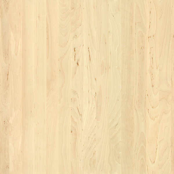 mtex_19430, Hout, 1-laags hout, Architektur, CAD, Textur, Tiles, kostenlos, free, Wood, Atlas Holz AG